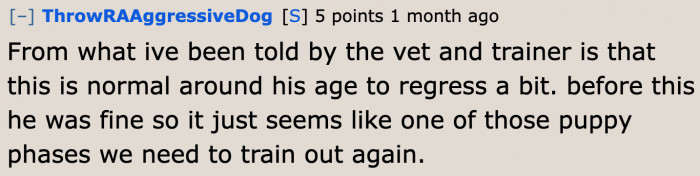 The dog being jumpy is just a phase.