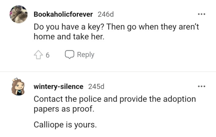 Contacting the Police and Providing the Adoption Papers