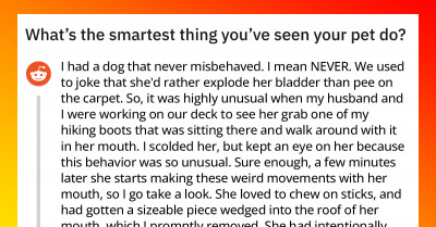 25+ Unexpectedly Smart Pets And The Little Things They Learned That Impressed Their Owners