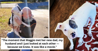 Shelter Dog Can't Stop Hugging Her New Dad After Meeting Him For The First Time
