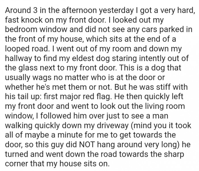 This is a dog that usually wags