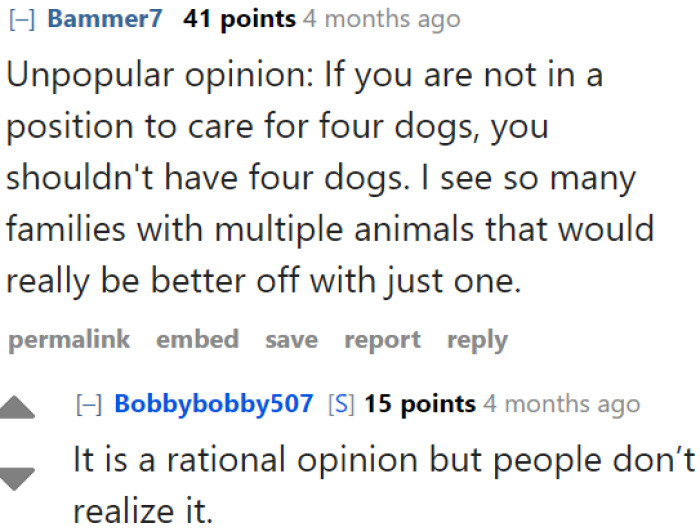 The dog owner shouldn't have brought home four pets.