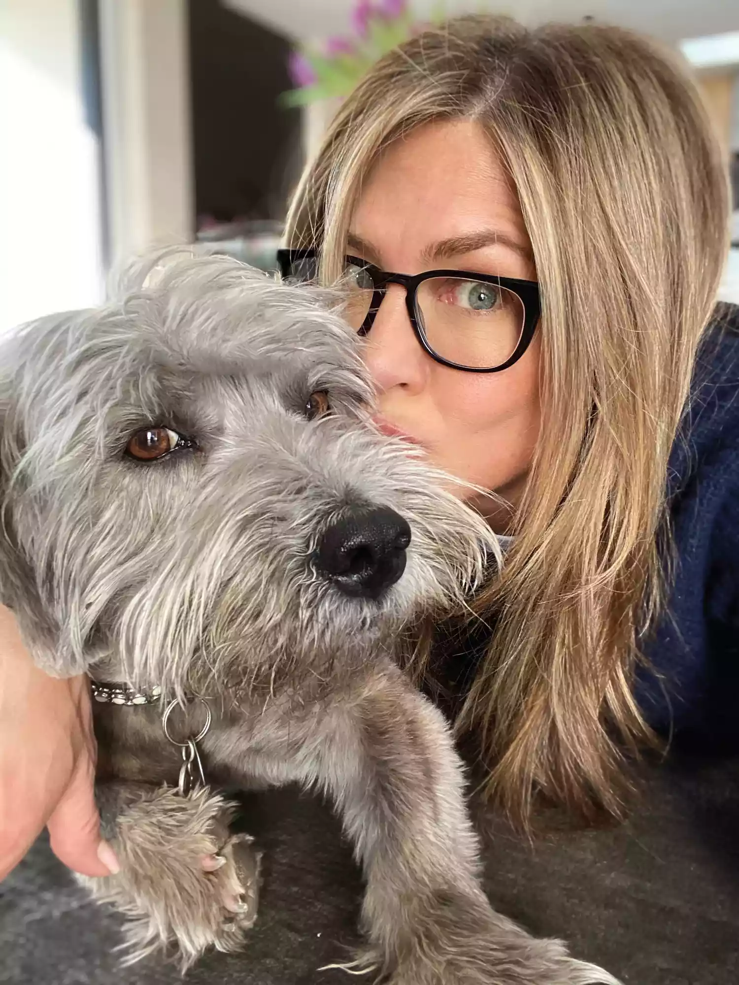 Meet Clyde, the inspiration behind Jennifer’s new children’s book series.