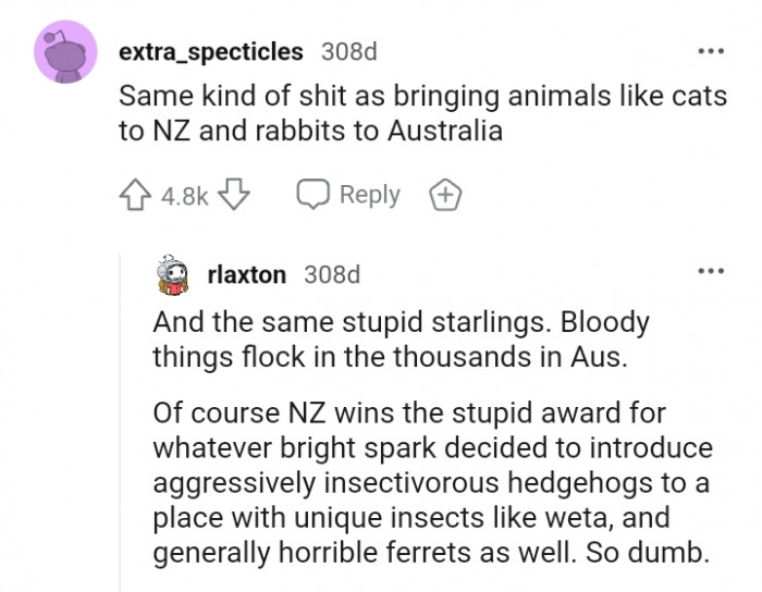 NZ wins the stupid award for whatever bright spark