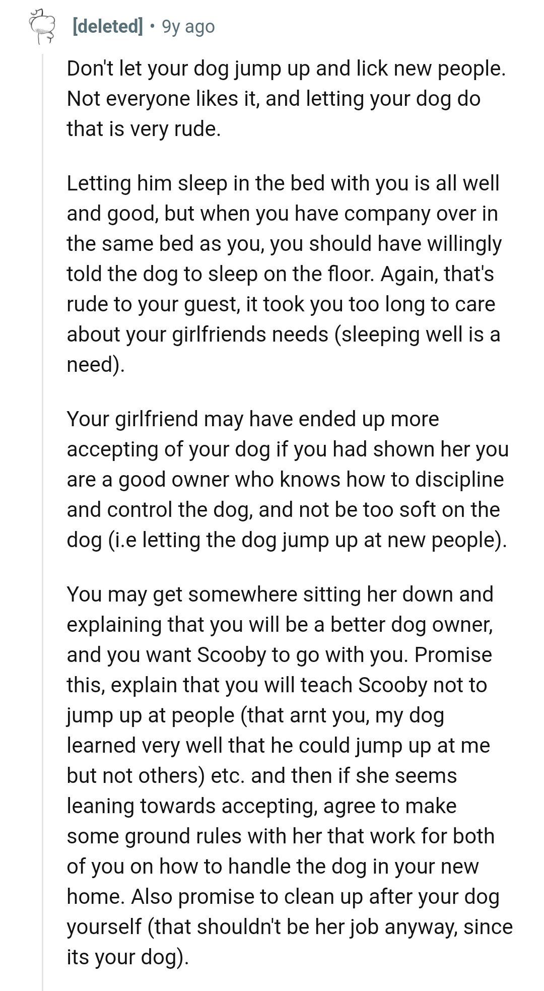 The Dog Should Have Slept on the Floor