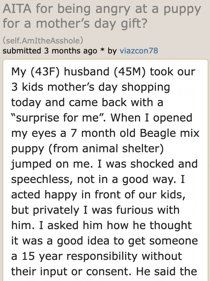 The original poster (OP) is upset about her gift, or rather, an added responsibility without her consent.