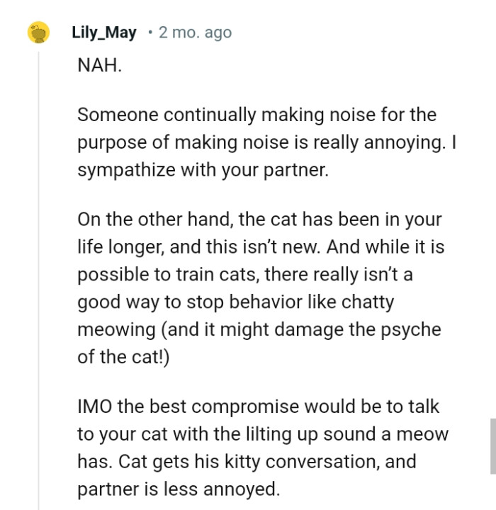 The Cat Has Been in the OP's Life Longer