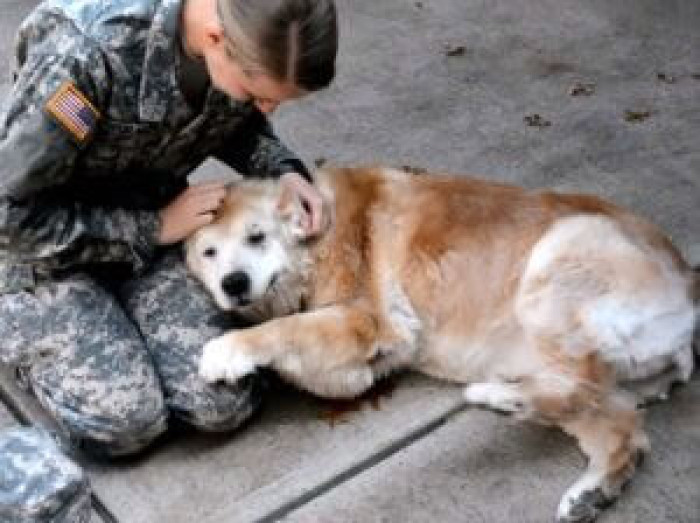 Despite his old age, when he saw his best friend again he turned into a loving, playful puppy