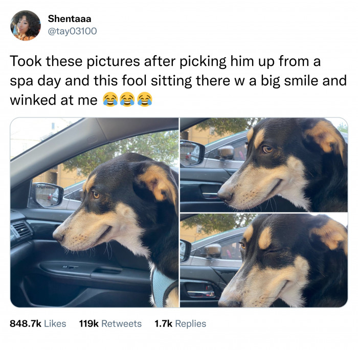 9. That's his way of saying thank you.