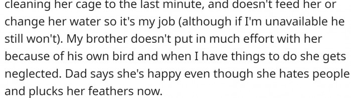 Dad's bird is pretty miserable and has started showing self-destructive behavior