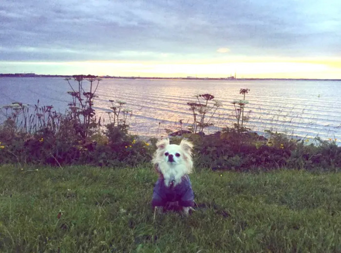 15. Instagram worthy picturesque backgrounds mean only one thing; It’s time to take pictures!