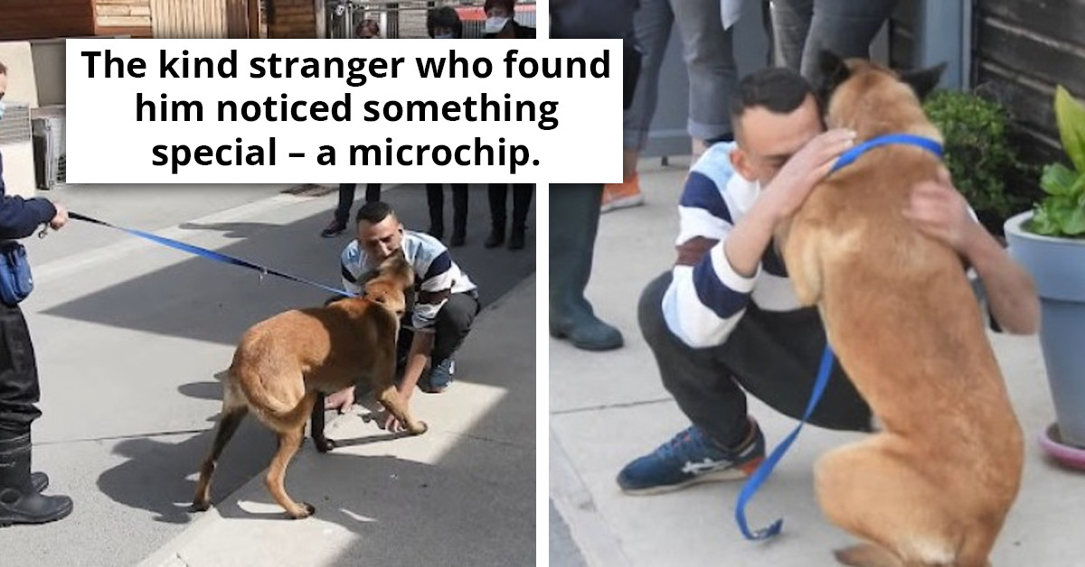 Man Travels Over 300 Miles To See His Dog After He Was Missing For Eight Months