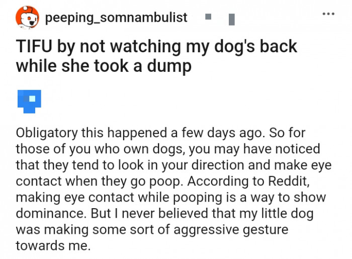 I messed up by not watching my dog's back