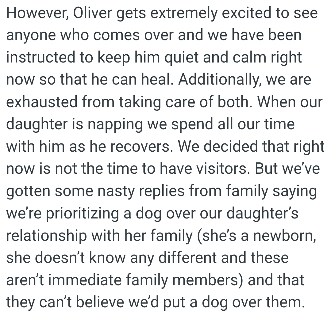 They Say OP Is Prioritizing a Dog Over Her Daughter’s Relationship with Her Family