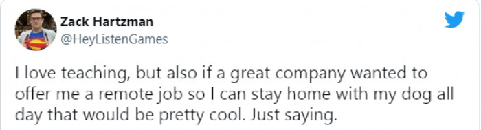 2. The first perk of a remote job is having your pet beside you