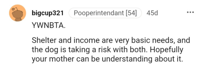 This Redditor hopes the OP's mom would be understanding about the whole thing