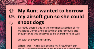 Lady Refuses To Let Aunt Borrow Her Airsoft Gun After Discovering Her Intentions For Stray Dogs