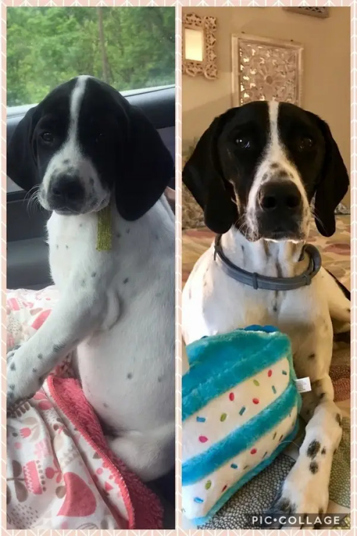 22. Cali: adorable then and still adorable.