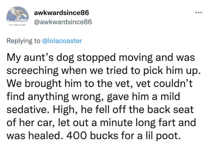 All this dog needed was to pass some gas.
