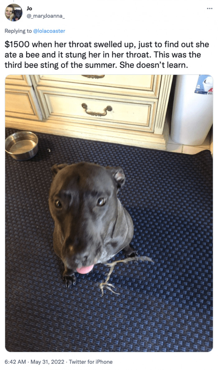 5. Third Bee Sting of the Summer