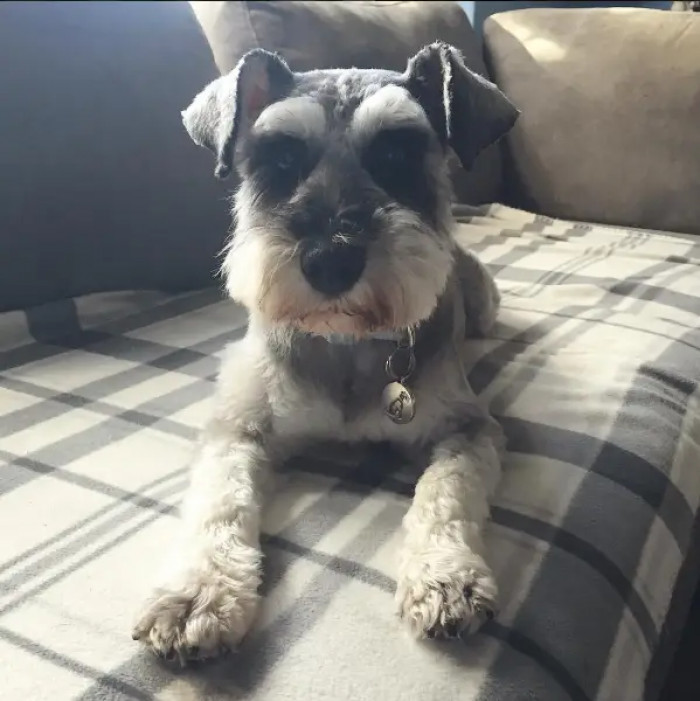 5. Don’t try this, fella