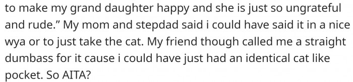 The teen's family and friends think she should have taken the cat.