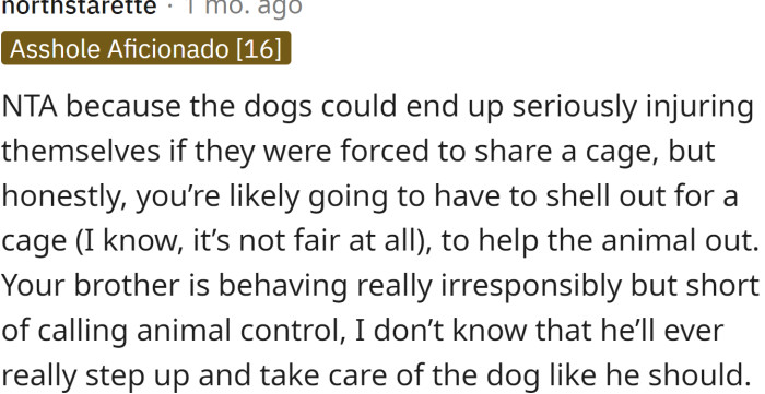 Sharing a cage could lead to some serious injuries