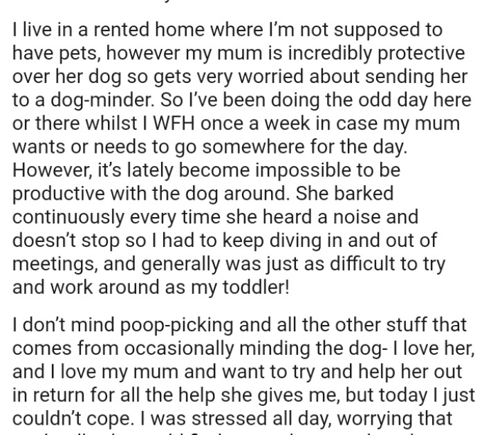 The dog would bark continuously every time she heard a noise and doesn’t stop