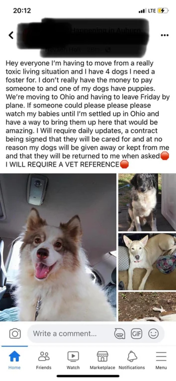 Here's the social media post by the pet owner.