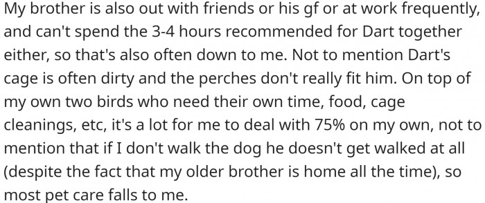 OP has to take care of all the birds and the dog.