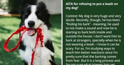 Concerned Redditors Make An Entitled Pet Owner Realize That He Needs To Leash His Big Dog No Matter How Friendly It Is