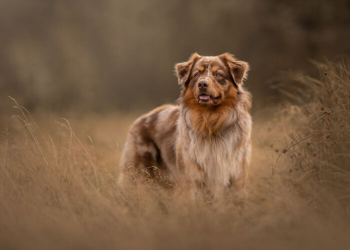 Photo By Renate Zuidema