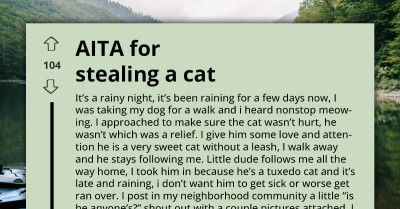 Woman Finds Soaking Wet Cat Outside and Now Faces a Choice That Could Break Hearts