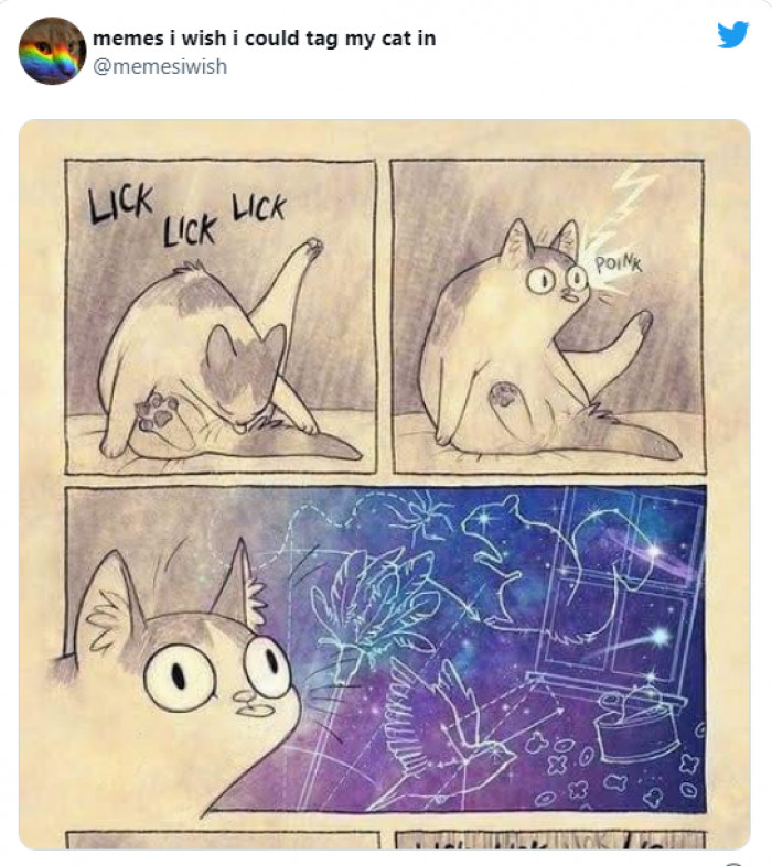 3. The best time to contemplate the wonders of the world is during bath time