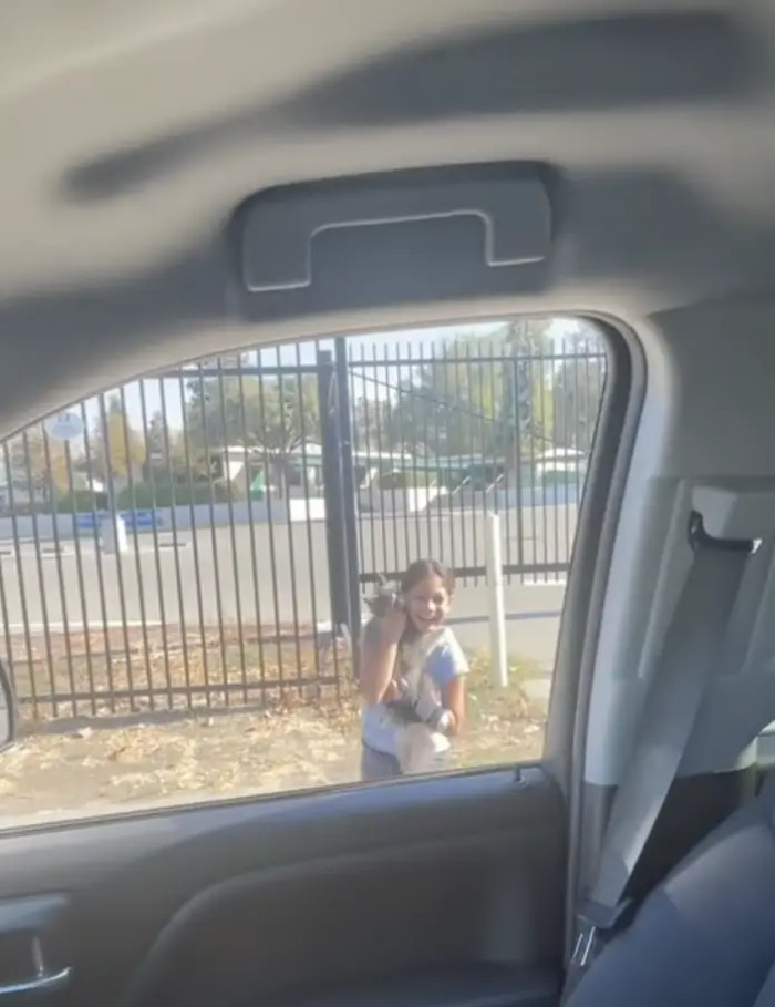 The Emotional Reunion Between the Girl and Her Beloved Furry Friend Was Captured on Camera by Her Dad