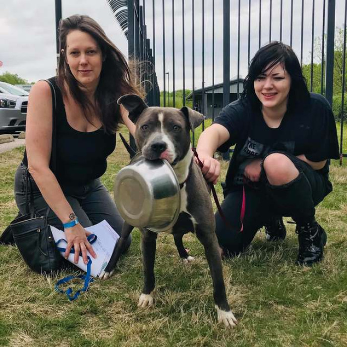 Oliver quickly became an internet sensation and he was adopted soon
