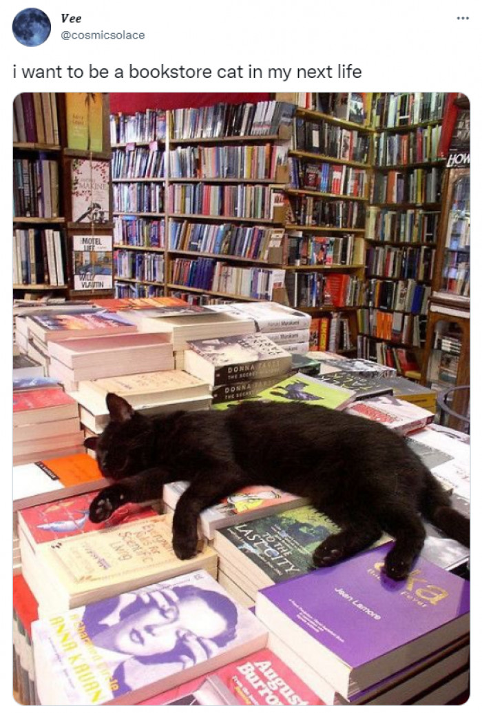 15. Living the dream