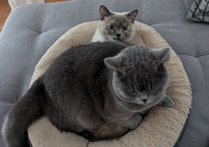 "The Seat Was Already Taken. Who Cares? Not Luna"