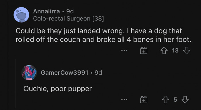 Some dogs are simply too fragile.