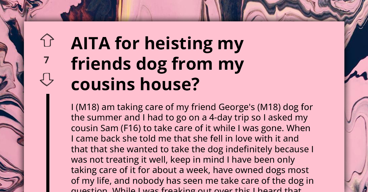 Teen Lands In Hot Water After Breaking Into Cousin's House To Rescue Friend's Dog