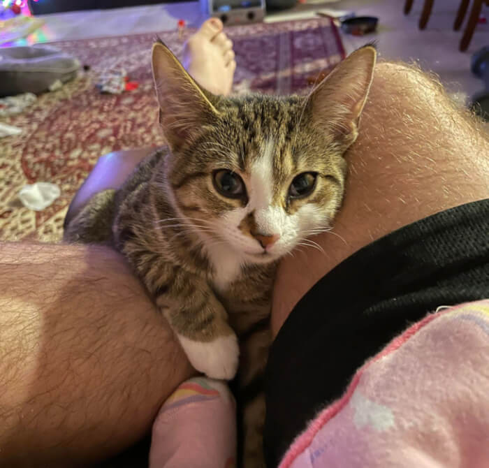 5. “She still needs a name! Help!”