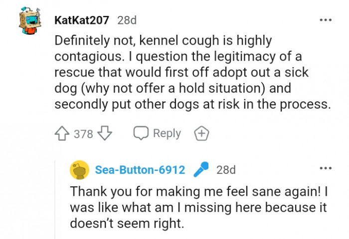 Kennel cough is highly contagious