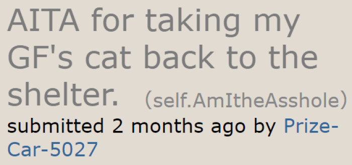 A couple fought over an adopted cat, so the original poster (OP) is wondering if he's the a-hole for returning the cat to the shelter.