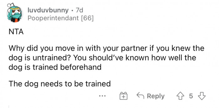 "The dog needs to be trained."