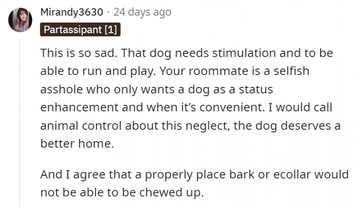 3. That dog definitely deserves a better place to call home where they can actually run free and get all the love they deserve