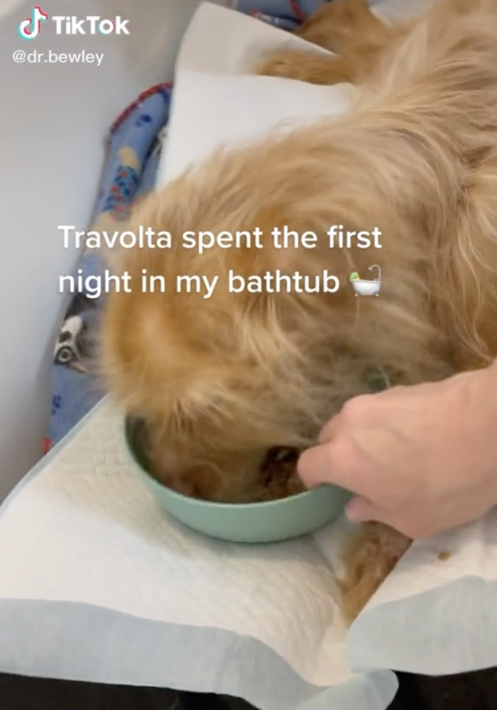 That night, he was kept safe by the doctor in her own home