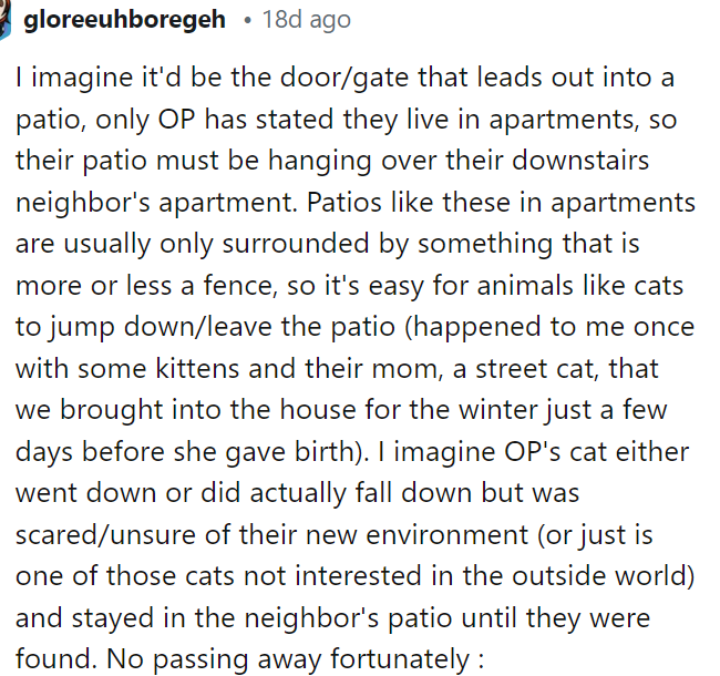 This person responded to the comment above to provide more insight into how the apartment is probably set up and what she means by the patio gate.