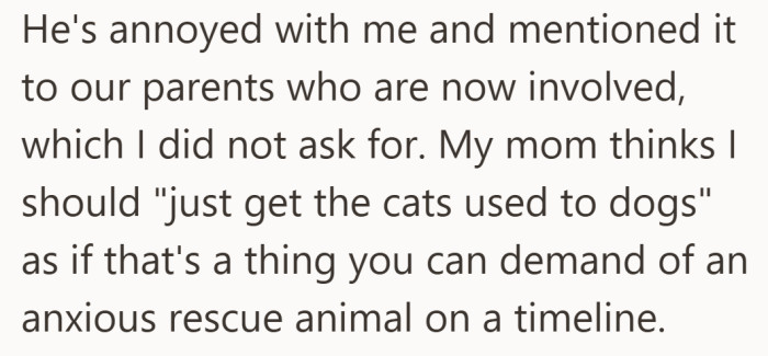 What started as a personal boundary quickly turned into a family issue.