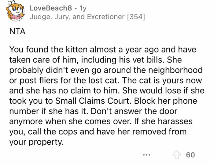 It's obvious that the cat was abandoned by its previous owner.