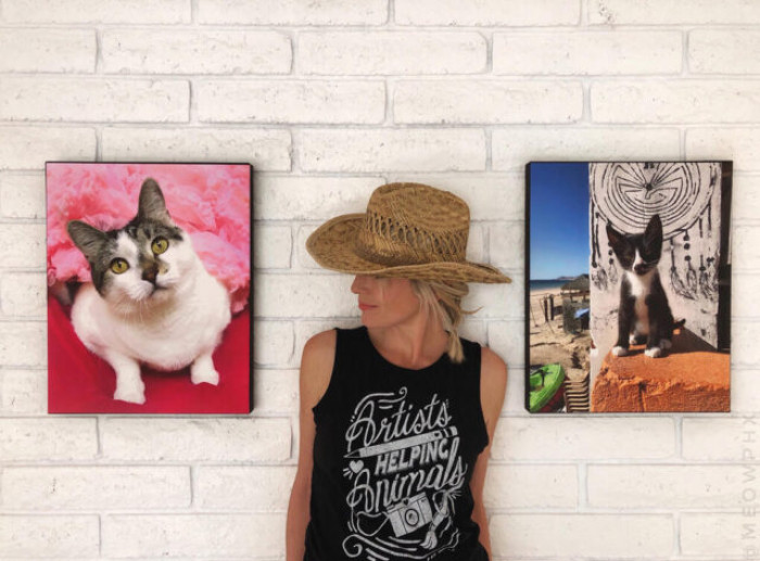 The most efficient method for capturing the ideal feline photograph